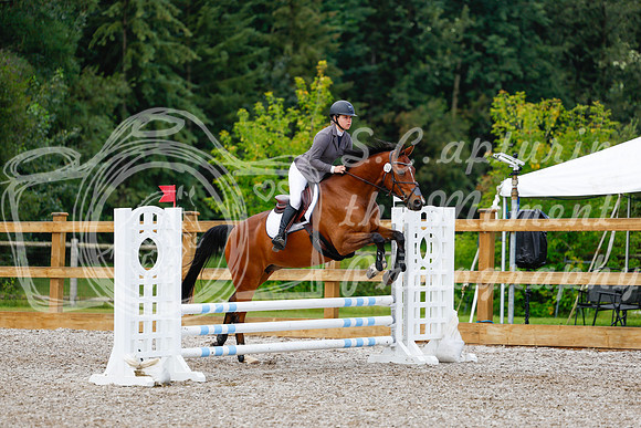 2025 - Haylee - Picco Horse Show - Sunday July 27th 01840
