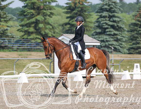 2023 - Art of Dressage - Sunday - June 11th - 2653