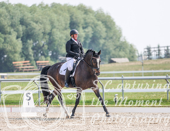 2023 - Art of Dressage - Sunday - June 11th - 3873
