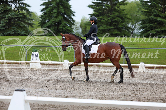 2025 - Dressage Festival - Sunday July 6th - 07812