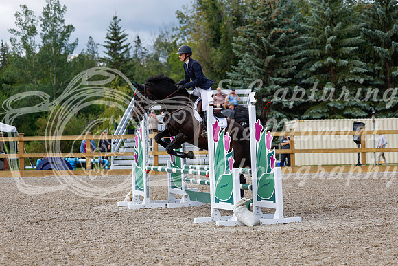 2025 - Haylee - Picco Horse Show - Sunday July 27th 02850