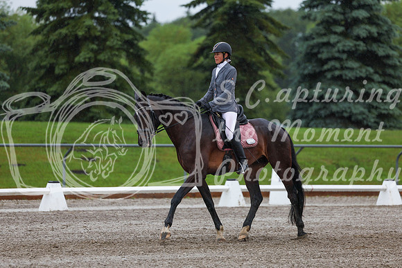 2025 - Dressage Festival - Sunday July 6th - 00614