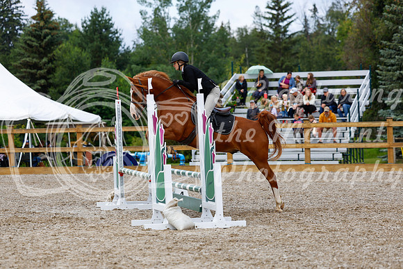 2025 - Haylee - Picco Horse Show - Sunday July 27th 02170