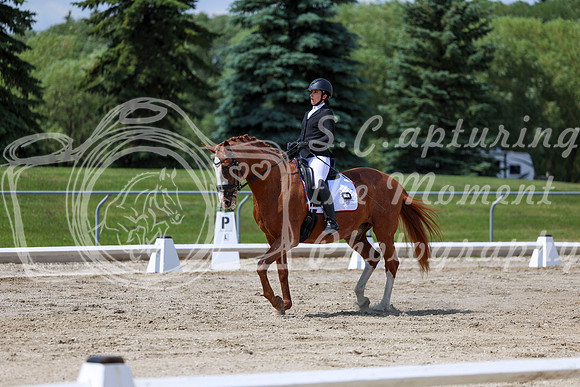 2025 - Dressage Festival - Saturday July 5th - 10077