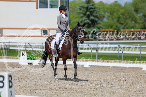 2025 - Dressage Festival - Saturday July 5th - 14609