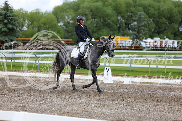 2025 - Dressage Festival - Sunday July 6th - 09878