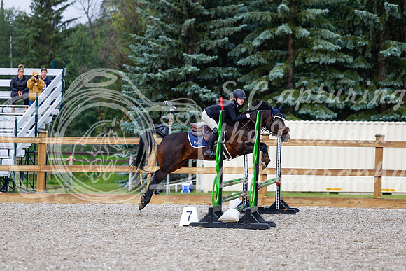 2025 - Haylee - Picco Horse Show - Sunday July 27th 01102