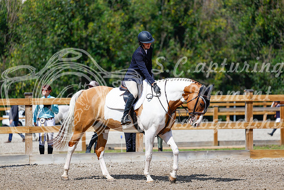 2025 - Haylee - Picco Horse Show - Sunday July 27th 05551