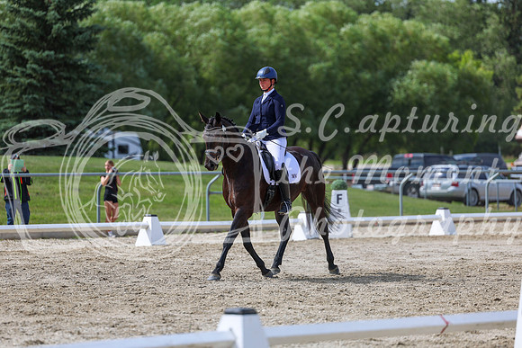 2025 - Dressage Festival - Saturday July 5th - 14785