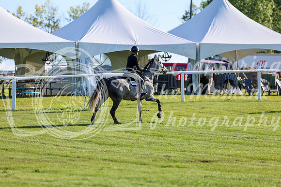 2025 - Shea - Teesdale - Friday July 25th - 03399