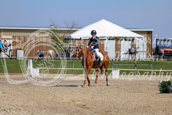 2025 - Dressage Festival - Saturday July 5th - 04742