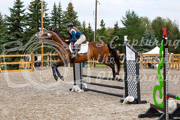 2025 - Haylee - Picco Horse Show - Saturday July 26th 02041