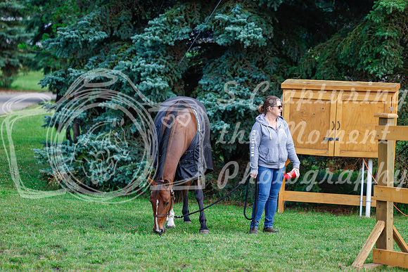 2025 - Haylee - Picco Horse Show - Saturday July 26th 00027