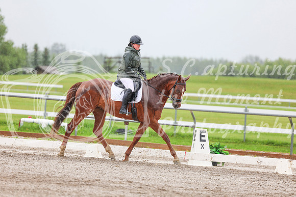 2025 - Dressage Festival - Sunday July 6th - 03598
