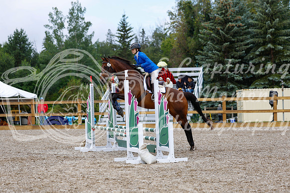 2025 - Haylee - Picco Horse Show - Sunday July 27th 01781