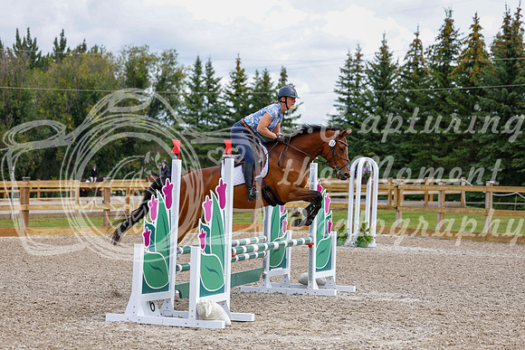 2025 - Haylee - Picco Horse Show - Saturday July 26th 03851