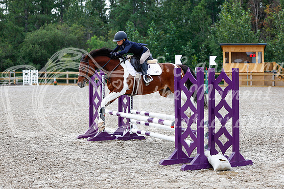 2025 - Haylee - Picco Horse Show - Saturday July 26th 01838