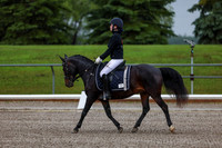 2025 - Dressage Festival - Sunday July 6th - 00014