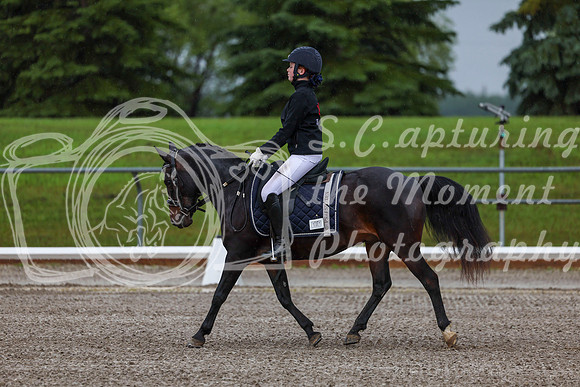 2025 - Dressage Festival - Sunday July 6th - 00014