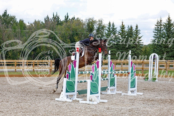 2025 - Haylee - Picco Horse Show - Saturday July 26th 07592