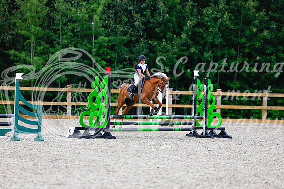 2025 - Haylee - Picco Horse Show - Thursday July 24th 01409
