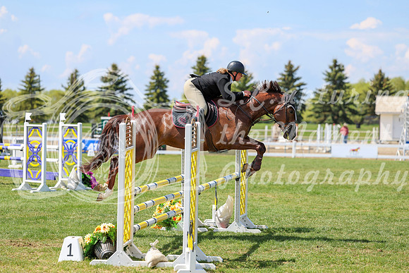 2025 - Shea - Edmonton Classic - Friday, May 23rd - 03933