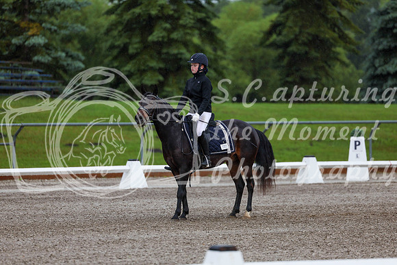 2025 - Dressage Festival - Sunday July 6th - 00006