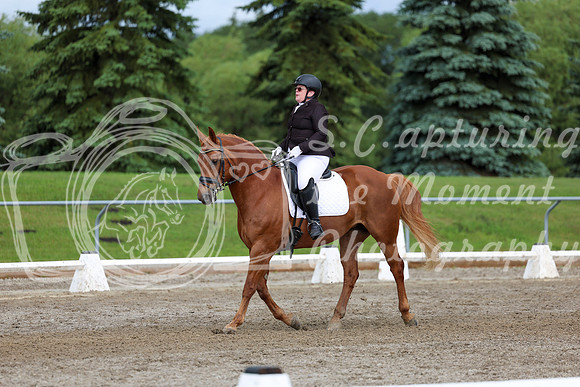 2025 - Dressage Festival - Sunday July 6th - 11302