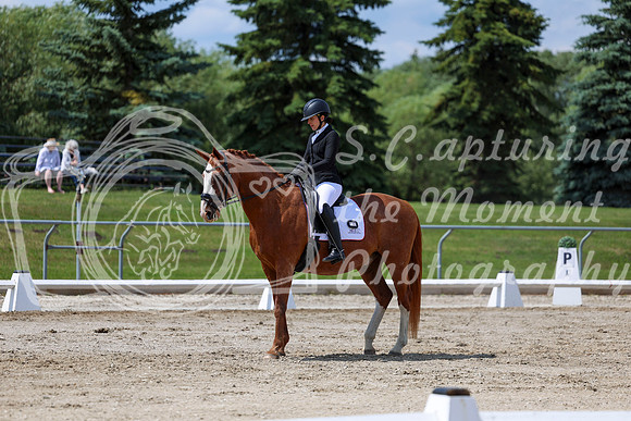 2025 - Dressage Festival - Saturday July 5th - 10081