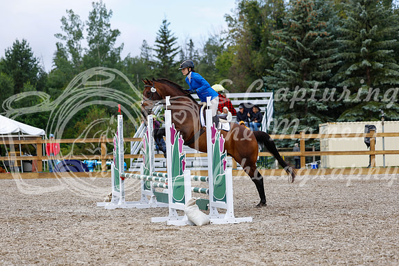 2025 - Haylee - Picco Horse Show - Sunday July 27th 01780
