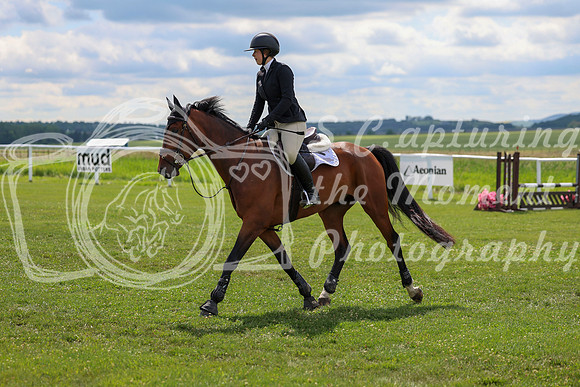 2025 - Shea - Teesdale - Friday July 25th - 05497