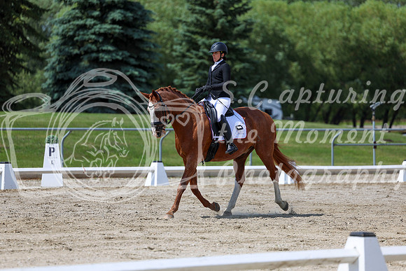 2025 - Dressage Festival - Saturday July 5th - 10075