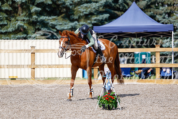 2025 - Haylee - Picco Horse Show - Thursday July 24th 01272