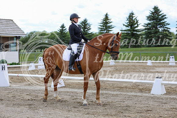 2025 - Dressage Festival - Saturday July 5th - 11172
