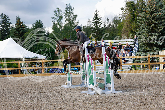2025 - Haylee - Picco Horse Show - Sunday July 27th 02946