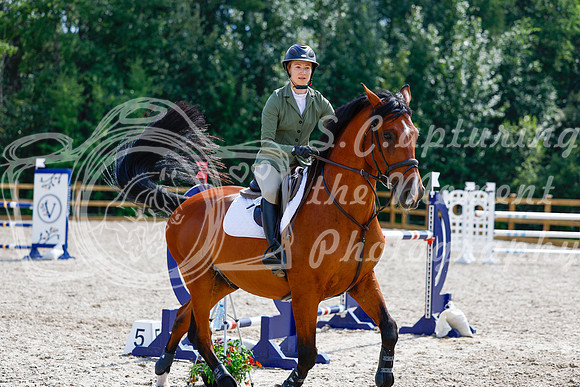 2025 - Haylee - Picco Horse Show - Saturday July 26th 07746