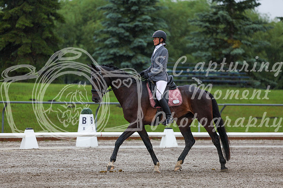 2025 - Dressage Festival - Sunday July 6th - 00620