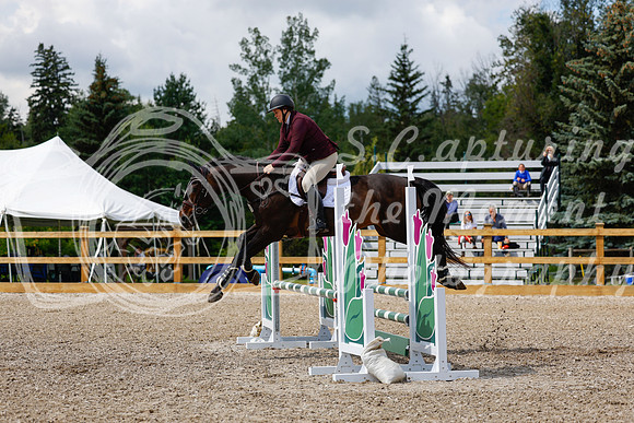 2025 - Haylee - Picco Horse Show - Sunday July 27th 03263