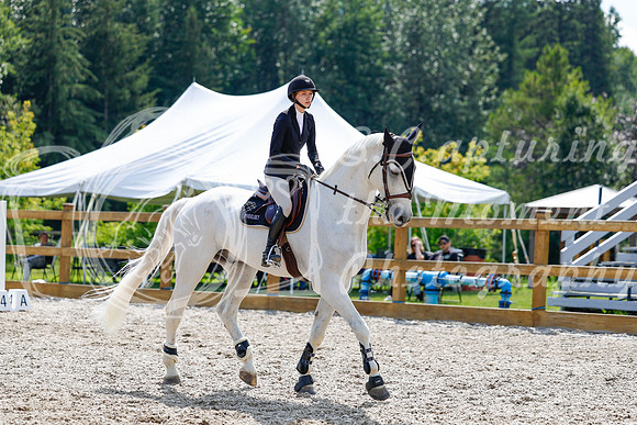 2025 - Haylee - Picco Horse Show - Saturday July 26th 07901