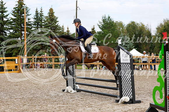 2025 - Haylee - Picco Horse Show - Saturday July 26th 02249