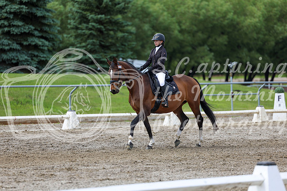2025 - Dressage Festival - Sunday July 6th - 14407