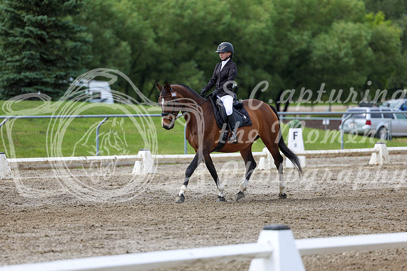 2025 - Dressage Festival - Sunday July 6th - 14403