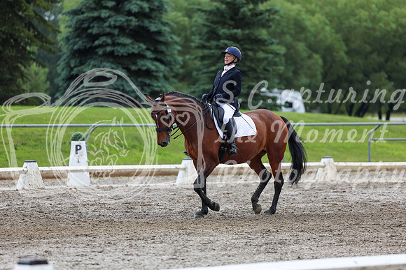 2025 - Dressage Festival - Sunday July 6th - 13167