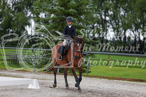 2025 - Dressage Festival - Sunday July 6th - 01803