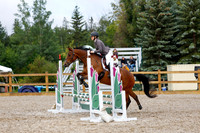 2025 - Haylee - Picco Horse Show - Sunday July 27th 01831