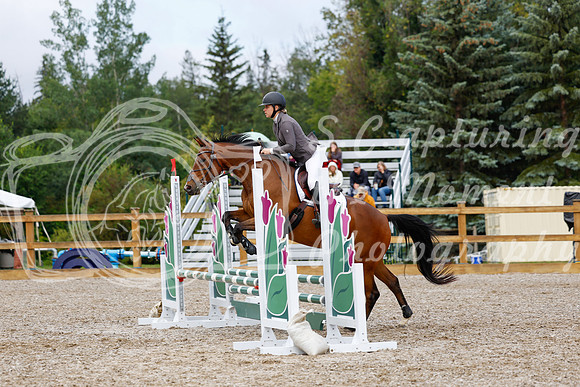 2025 - Haylee - Picco Horse Show - Sunday July 27th 01831