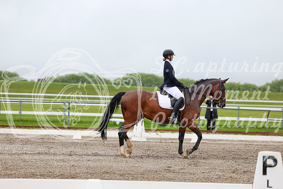 2025 - Dressage Festival - Sunday July 6th - 04258