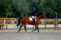 2025 - Haylee - Picco Horse Show - Sunday July 27th 04807
