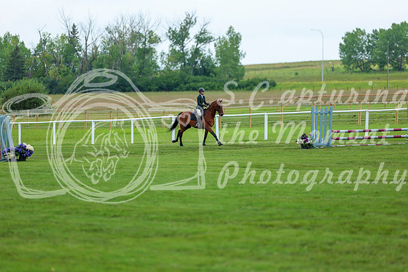 2025 - Shea - Teesdale - Saturday July 26th - 01202