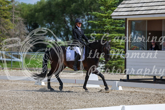 2025 - Dressage Festival - Saturday July 5th - 15238